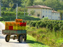 Montecatini Terme 810
