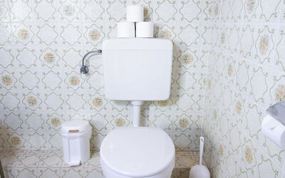 Accommodatie:&nbsp;Lachmöwe 805.3