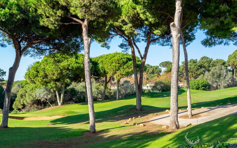 Las Lomas de Cabopino: Boom, Natuur, Groen, Vegetation, Sportplaats, Natuurlijk Landschap, Gras, Lucht, Woody Plant, Plantkunde