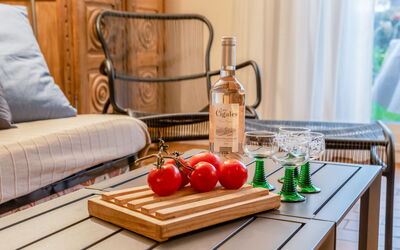 Accommodatie:&nbsp;Les Galiotes 110.1