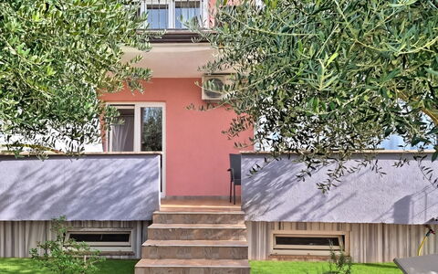 Finida: Huis, Tuin, Balkon, Veranda, Leuning, Backyard, Trap, Werf, Schaduw, Landscaping