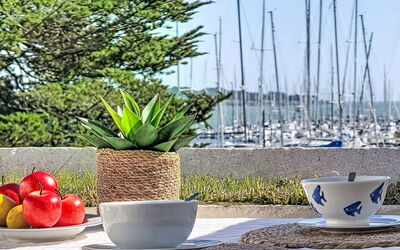 Accommodatie:&nbsp;Plein Sud 110.2