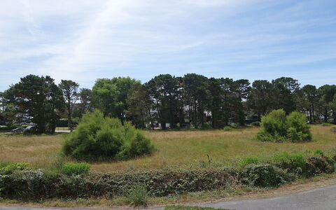 Plein Ciel: Wolk, Lucht, Fabriek, Ecoregio, Natuurlijk Landschap, Boom, Land Lot, Vegetation, Gras