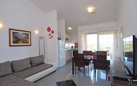 Accommodatie:&nbsp;Marko 208.5