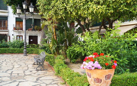 Plaza de Las Flores: Fabriek, Bloem, Bloempot, Plantkunde, Gebouw, Boom, Gras, Venster, Struik, Kamerplant
