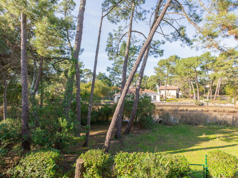 Accommodatie:&nbsp;Les Berges Landaises 450.6