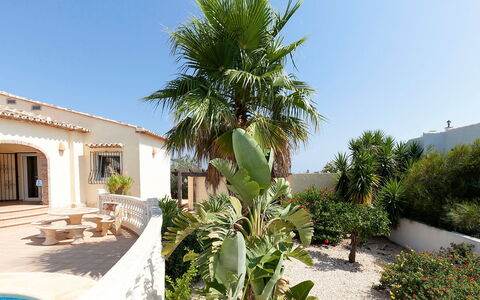 Capi: Eigendom, Vegetation, Onroerend Goed, Boom, Huis, Fabriek, Huis, Plantkunde, Gebouw, Landgoed