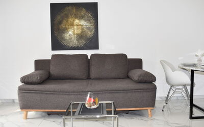 App. 704 50.9: Bankstel, Meubilair, Comfort, Rechthoek, Slaapbank, Hout, Interieur Ontwerp, Tafel, Woonkamer