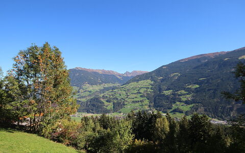 Aschau im Zillertal 330: Lucht, Berg, Fabriek, Plantengemeenschap, Ecoregio, Natuurlijk Landschap, Natuurlijke Omgeving, Boom, Hoogland, Helling