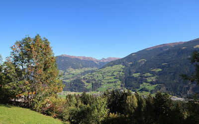 Aschau im Zillertal 330