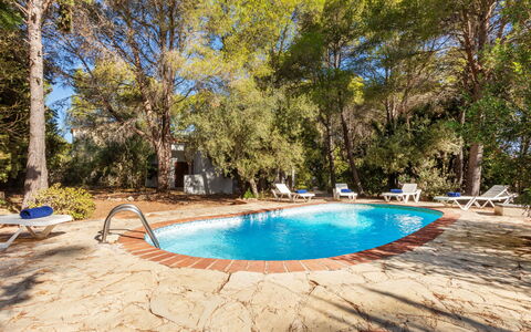 Villa Pinos: Blauw, Boom, Hout, Zwembad, Schaduw, Buitenmeubels, Toevlucht, Landscaping, Eco Hotel, Backyard