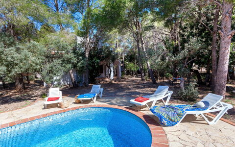 Villa Pinos: Water, Fabriek, Eigendom, Meubilair, Zwembad, Azure, Blauw, Boom, Schaduw, Stoel