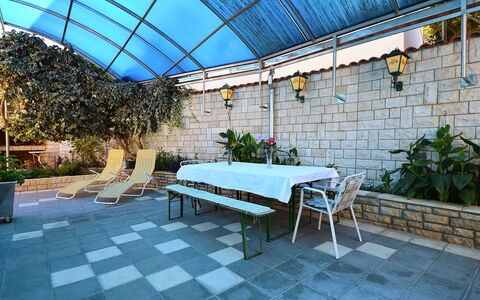 Zaton (Šibenik) 102: Fabriek, Bloem, Meubilair, Eigendom, Natuur, Schaduw, Buitenmeubels, Tafel, Interieur Ontwerp, Flooring