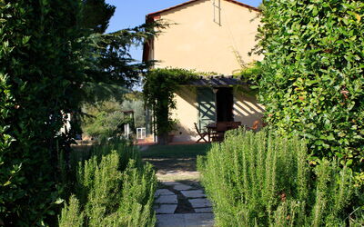 Il Rosino Alto