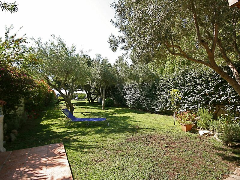 Villa Pellicano 6 Posti Pittulongu-olbia