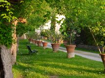 Il viale che conduce agli appartamenti e alla piscina