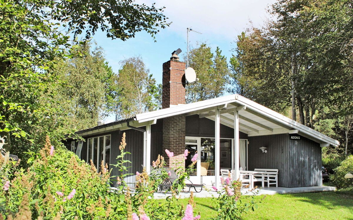 Blåvand Ho