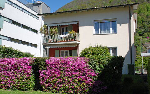 Altorfer: Bloem, Fabriek, Lucht, Gebouw, Eigendom, Venster, Huis, Gras, Onroerend Goed, Groundcover