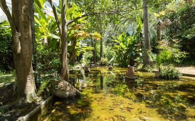 Jardines del Mar