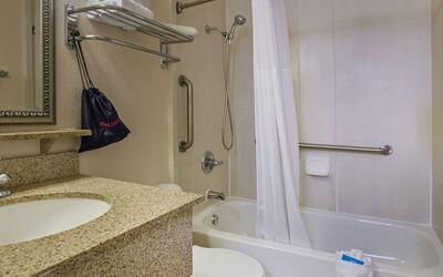Accommodatie:&nbsp;Tampa Waterfront 100.1