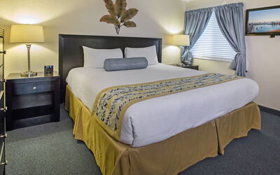 Accommodatie:&nbsp;Tampa 100.4