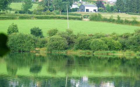 Butgenbach Nidrum 200: Water, Fabriek, Watervoorraden, Groen, Natuurlijk Landschap, Gebouw, Boom, Land Lot, Vegetation, Meer
