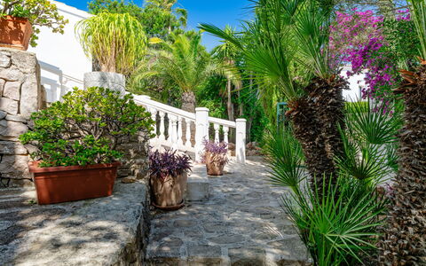 Karima: Struik, Tuin, Bloempot, Landscaping, Toevlucht, Kamerplant, Schaduw, Hacienda