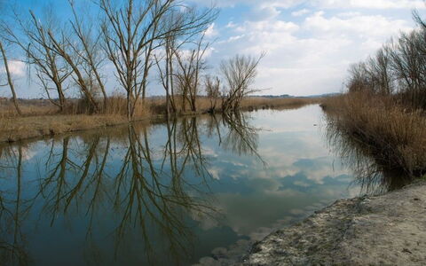 Villa La Fragola: Zwemwater, Natuurlijk Landschap, Water, Bank, Watervoorraden, Natuurlijke Omgeving, Reflectie, Rivier