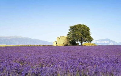 Provence Vakantiewoningen